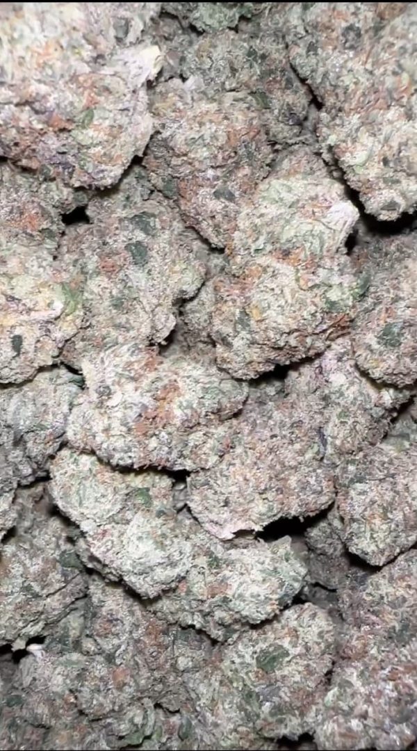 White Cherry Gelato