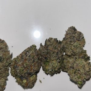 Gushlato strain