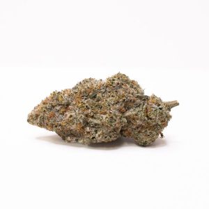 black widow strain