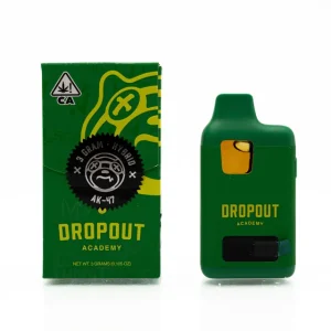 DROPOUT ACADEMY - DISPOSABLE