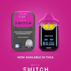 Boutiq switch 2g disposable v4