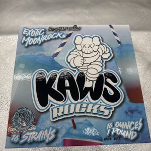 Kaws Rocks Slurpee edition